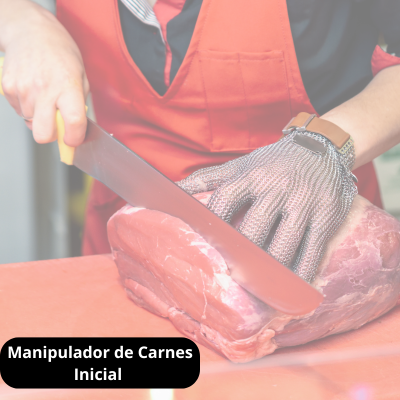Manipulador de Carnes Inicial